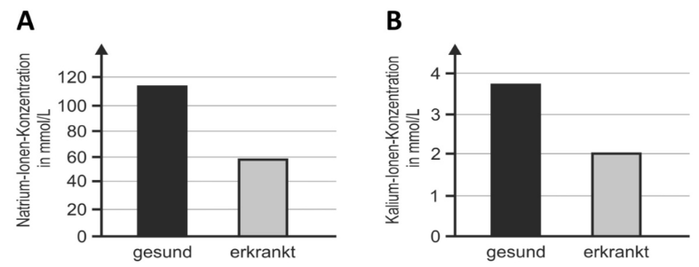Balkendiagramme zeigen Natrium- und Kalium-Ionen-Konzentrationen bei gesunden und erkrankten Personen.